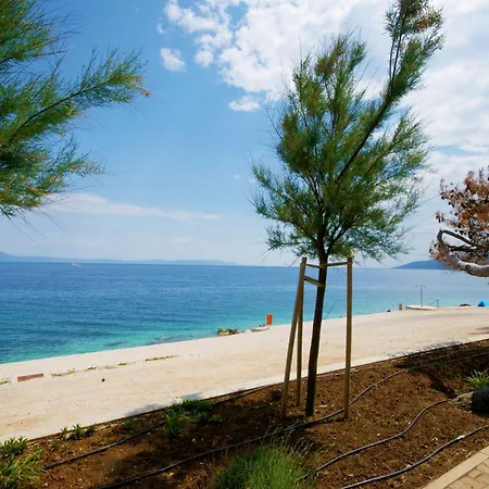 Viktor, A Wonderful Rustic Close To The