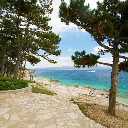 Viktor, A Wonderful Rustic Close To The